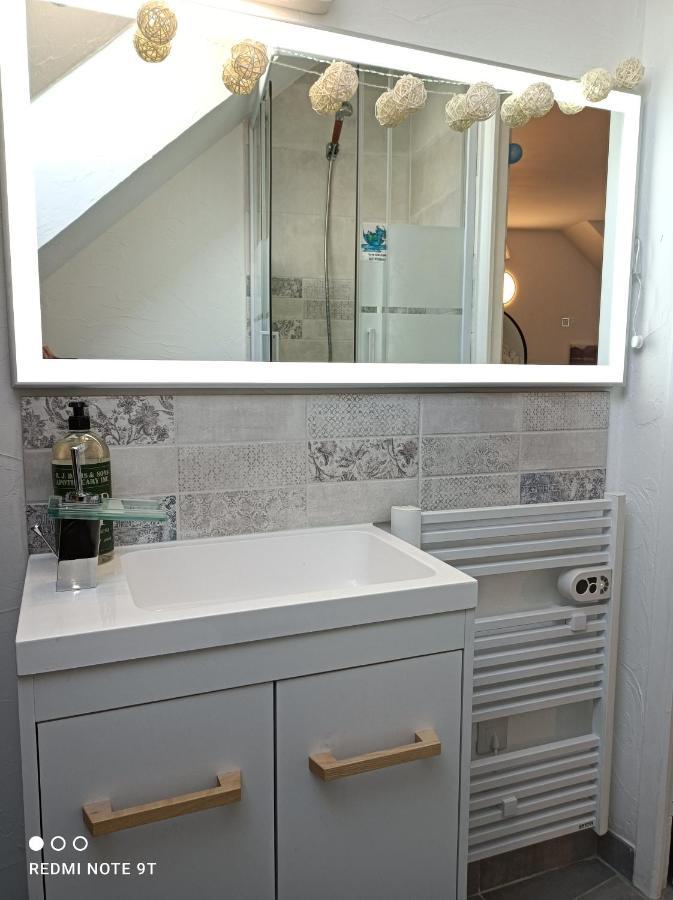 Tres Beau Studio Climatisation, Trois Etoiles, Parking A Velo, Velos En Option, Parking Prive Jardin Montargis Exterior foto