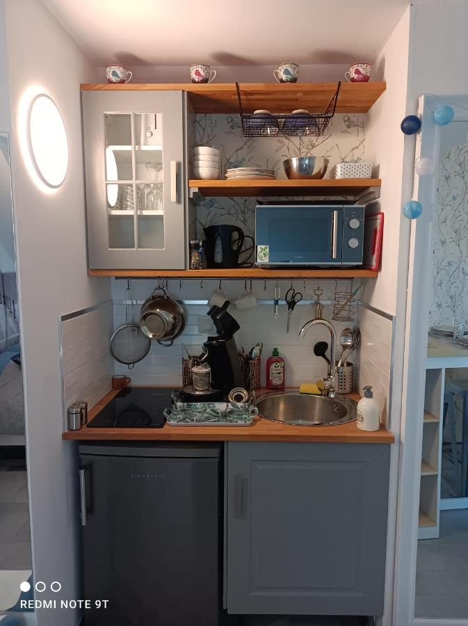 Tres Beau Studio Climatisation, Trois Etoiles, Parking A Velo, Velos En Option, Parking Prive Jardin Montargis Exterior foto